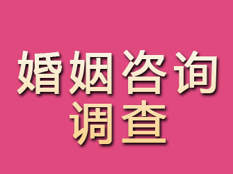 宁晋婚姻咨询调查